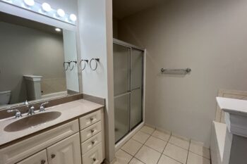 Main Bath Upper Level Vanity & Shower